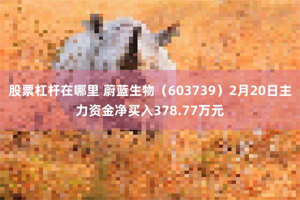 股票杠杆在哪里 蔚蓝生物（603739）2月20日主力资金净买入378.77万元