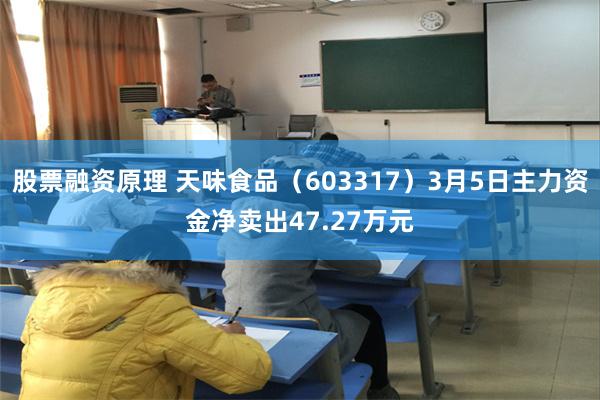 股票融资原理 天味食品（603317）3月5日主力资金净卖出47.27万元