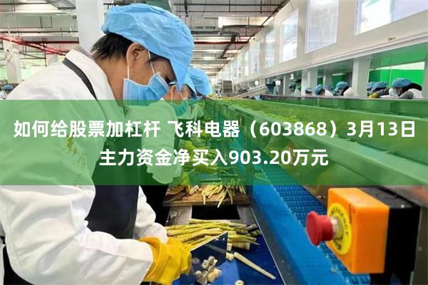 如何给股票加杠杆 飞科电器（603868）3月13日主力资金净买入903.20万元