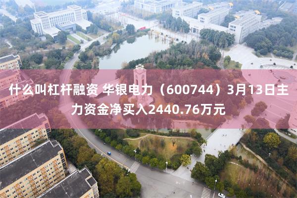 什么叫杠杆融资 华银电力（600744）3月13日主力资金净买入2440.76万元