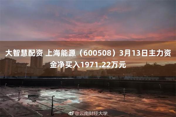 大智慧配资 上海能源（600508）3月13日主力资金净买入1971.22万元