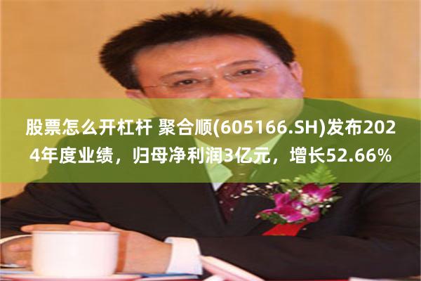股票怎么开杠杆 聚合顺(605166.SH)发布2024年度业绩，归母净利润3亿元，增长52.66%