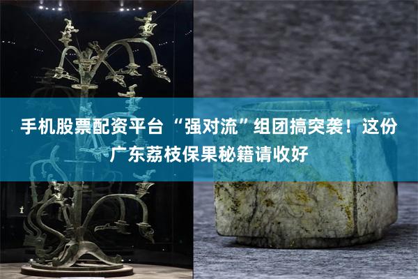 手机股票配资平台 “强对流”组团搞突袭！这份广东荔枝保果秘籍请收好