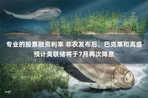专业的股票融资利率 非农发布后，巴克莱和高盛预计美联储将于7月再次降息