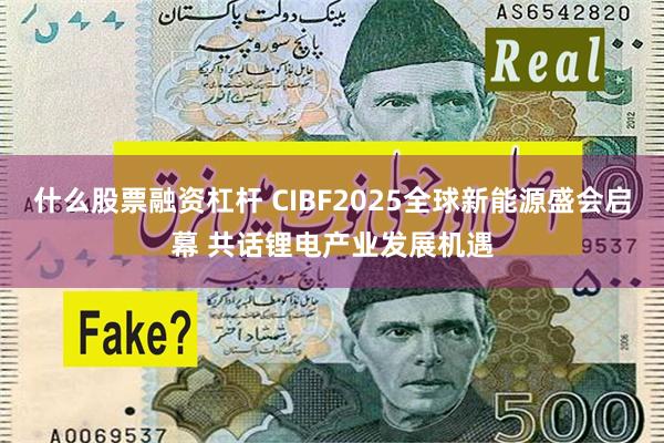 什么股票融资杠杆 CIBF2025全球新能源盛会启幕 共话锂电产业发展机遇