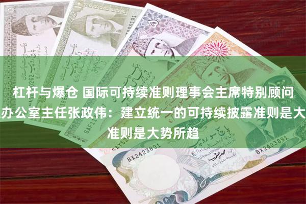 杠杆与爆仓 国际可持续准则理事会主席特别顾问兼北京办公室主任张政伟：建立统一的可持续披露准则是大势所趋