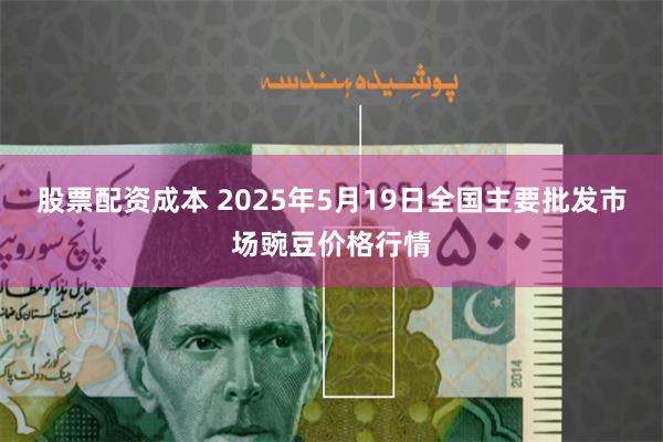股票配资成本 2025年5月19日全国主要批发市场豌豆价格行情