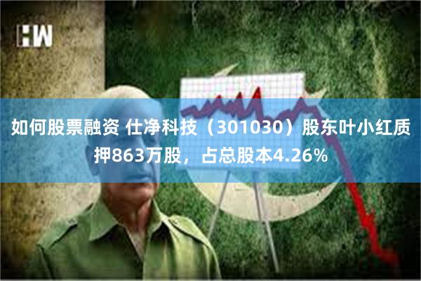 如何股票融资 仕净科技（301030）股东叶小红质押863万股，占总股本4.26%