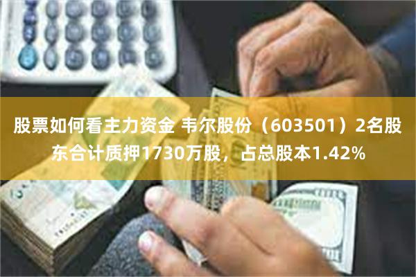 股票如何看主力资金 韦尔股份（603501）2名股东合计质押1730万股，占总股本1.42%