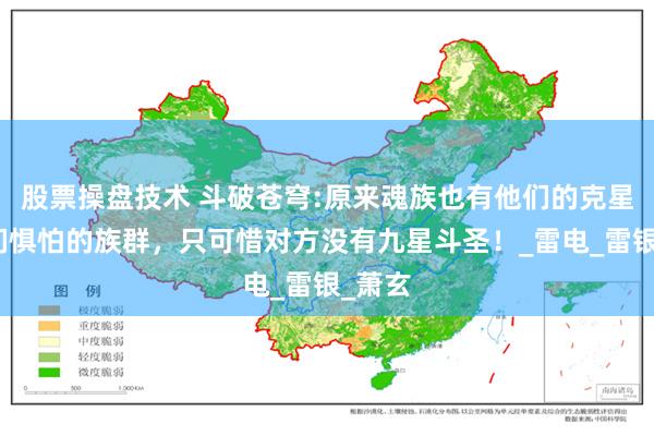 股票操盘技术 斗破苍穹:原来魂族也有他们的克星让他们惧怕的族群，只可惜对方没有九星斗圣！_雷电_雷银_萧玄